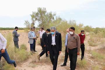 بازدید میدانی رئیس دانشگاه علوم پزشکی استان سمنان از طرح مبارزه با مخزن سالک و کلینیک تخصصی99.05.05 